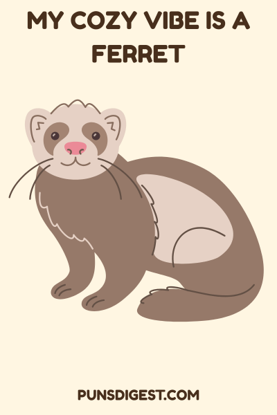One Liner Ferret Puns