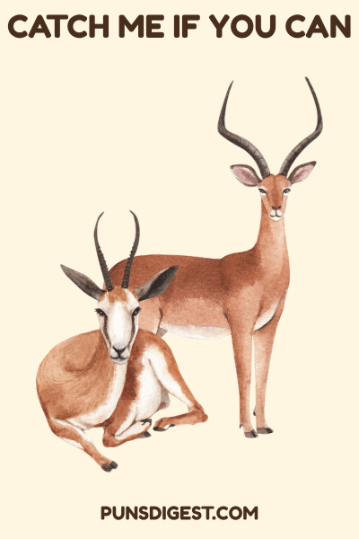 One Liner Gazelle Puns