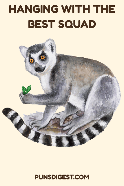 One Liner Lemur Puns