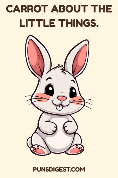 One Liner Rabbit Puns