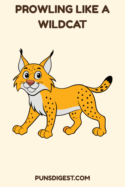 One Liner Wildcat Puns