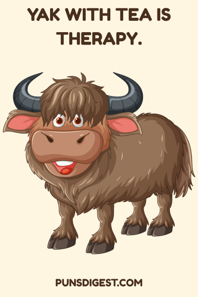 One Liner Yak Puns
