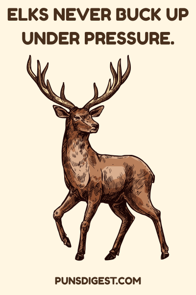 One liner Elk Puns