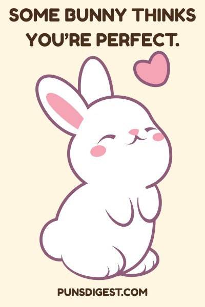Rabbit Puns for instagram