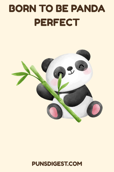 Red Panda Puns