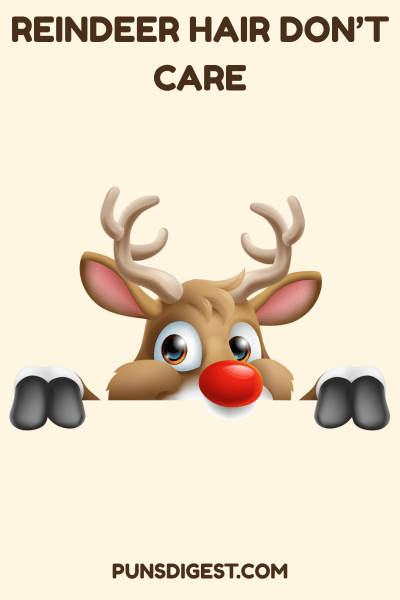 Reindeer Puns for instagram