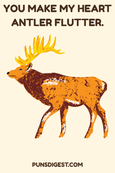 Short Elk Puns