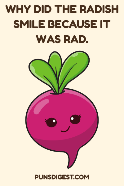 Vegetable Funny Puns