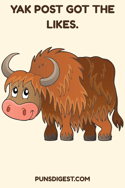Yak Puns for social Media