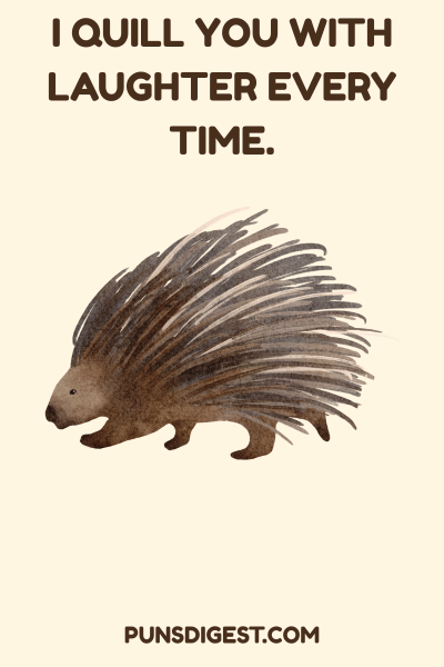 funny Porcupine Puns