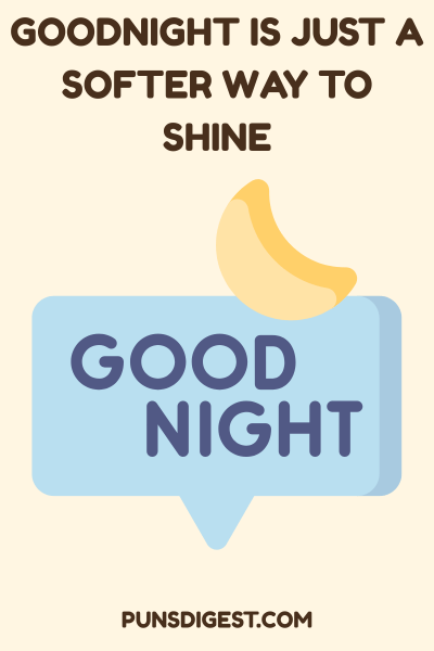 Best Good Night Puns