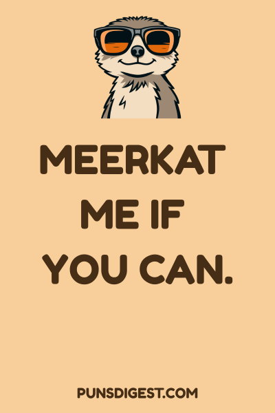 Best Meerkat Puns