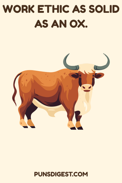Best Ox Puns