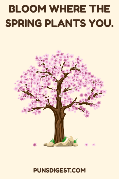 Best Spring Puns