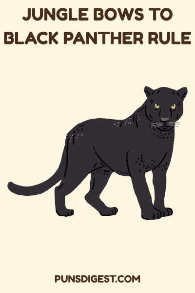 Black Panther Puns