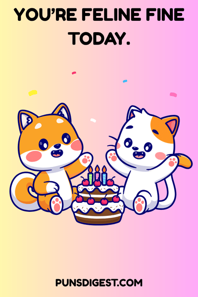 Cat Birthday puns