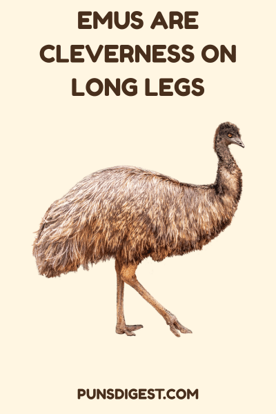 Clever Emu Puns