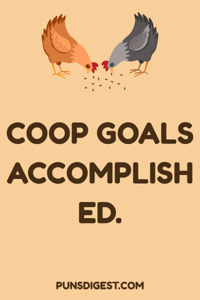 Clever Hen Puns