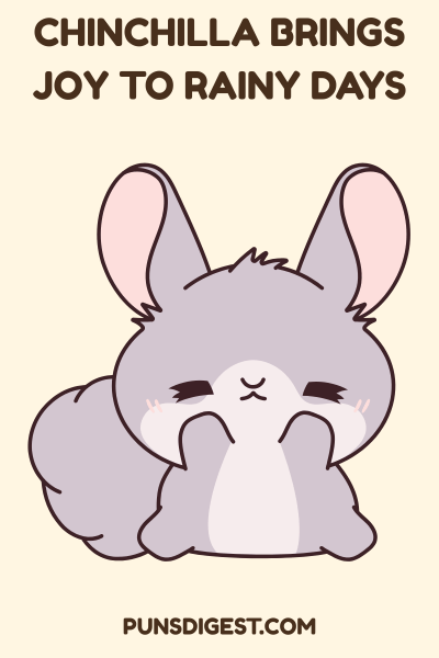 Cute Chinchilla Puns
