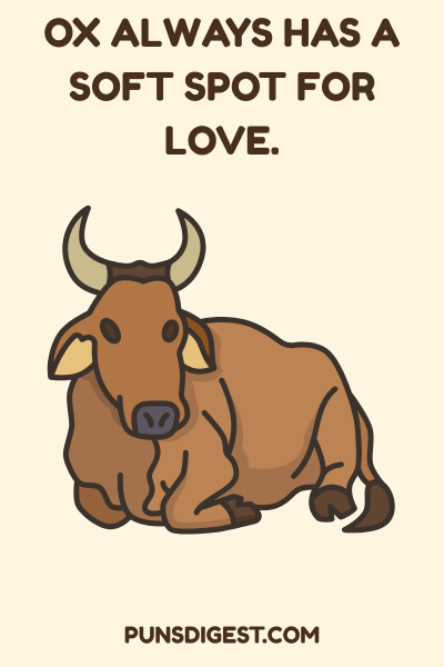 Cute Ox Puns