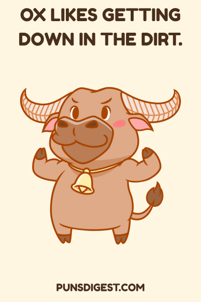 Dirty Ox Puns
