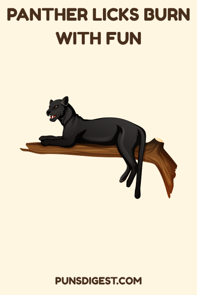 Dirty Panther Puns