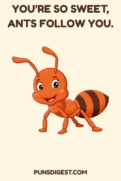 Funny Compliment Puns