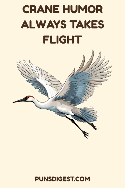 Funny Crane Puns
