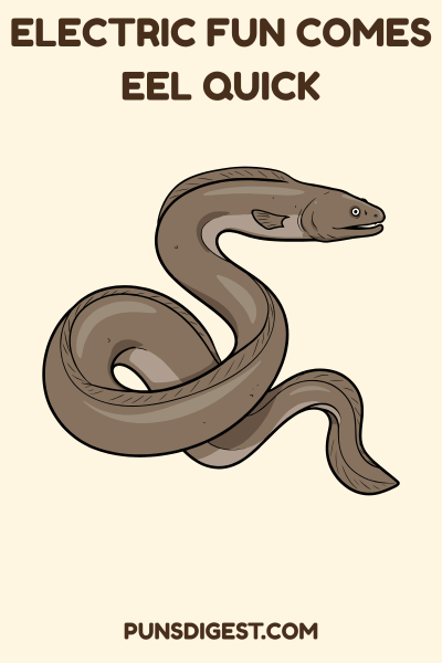 Funny Eel Puns