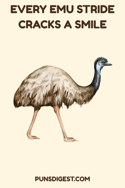 Funny Emu Puns