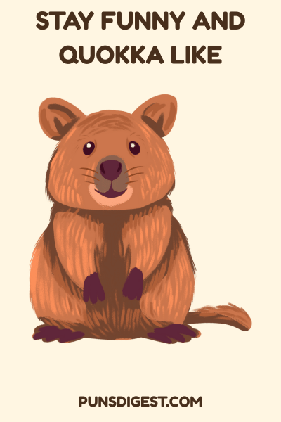 Funny Quokka Puns