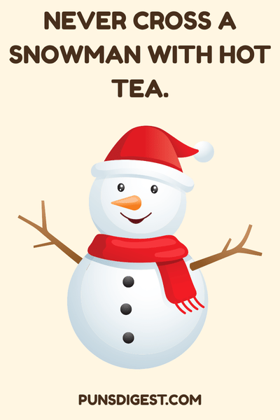 Funny Snowman Puns