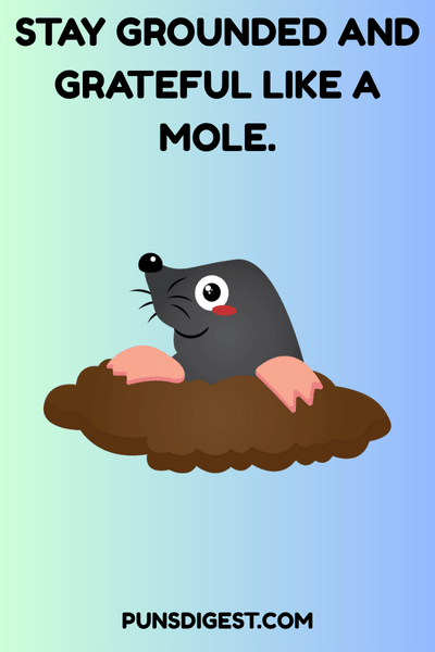Good Mole Puns
