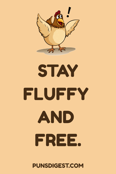 Hen Puns for Instagram