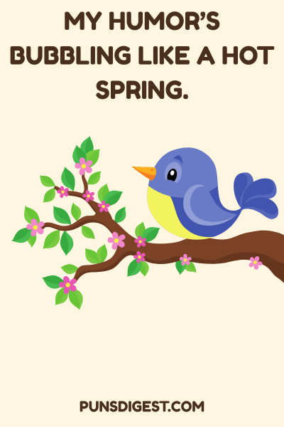 Hot Spring Puns