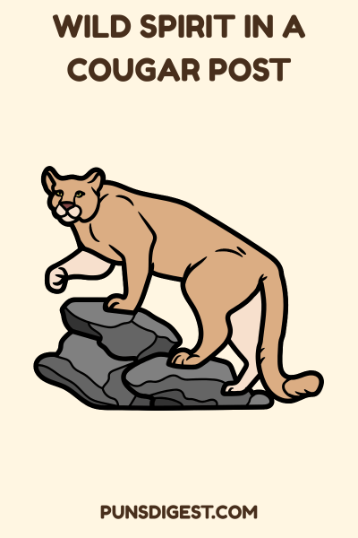 Instagram Cougar Puns