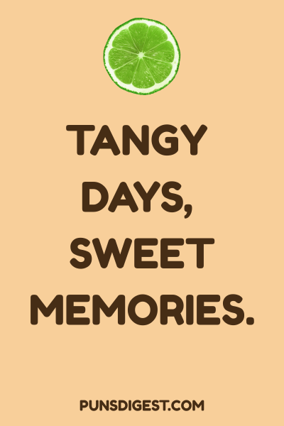 Lime Puns for Instagram