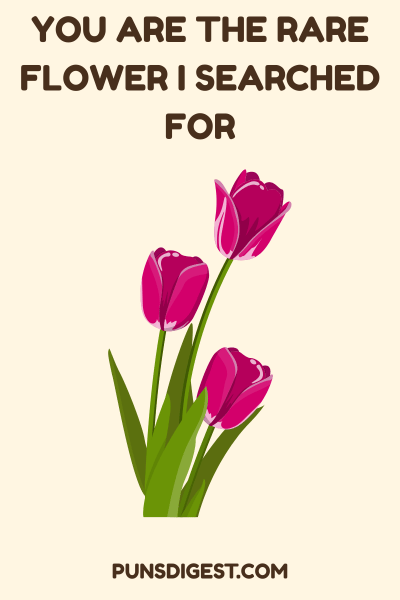 Love Flower Puns