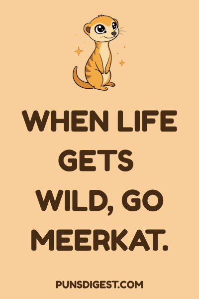 Meerkat Puns Captions