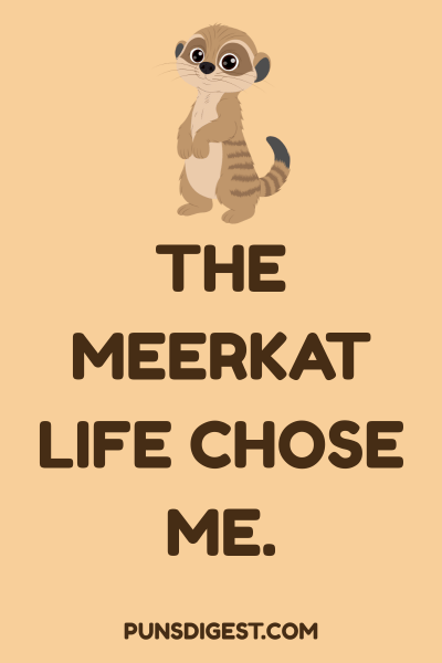 Meerkat Puns One Liners