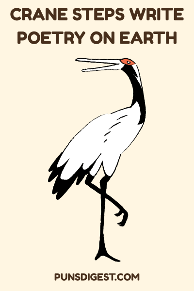One Liner Crane Puns