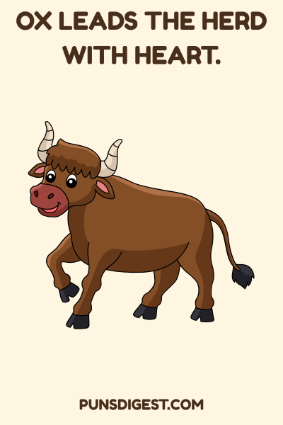 Ox Puns One Liners
