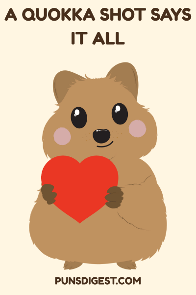 Quokka Puns for Instagram