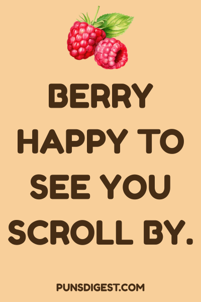 Raspberry Puns for Sour Moments