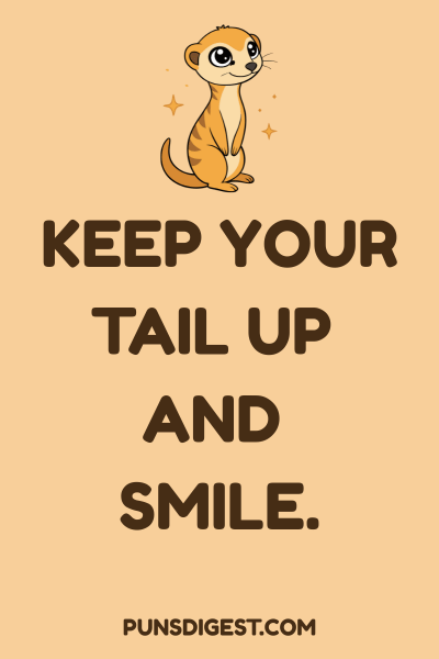 Short Meerkat Puns