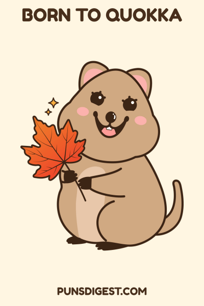 Short Quokka Puns