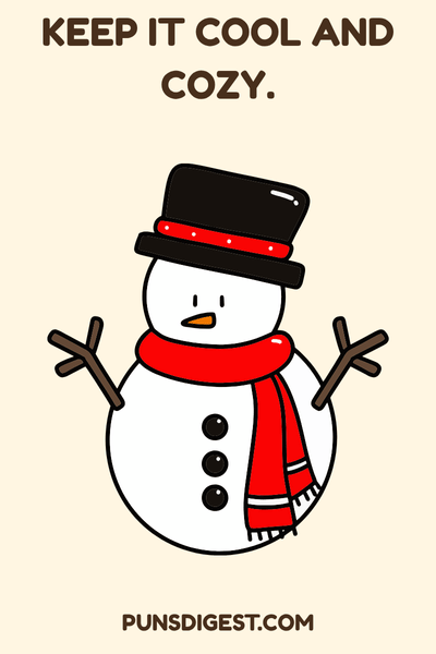 Snowman Puns for captions