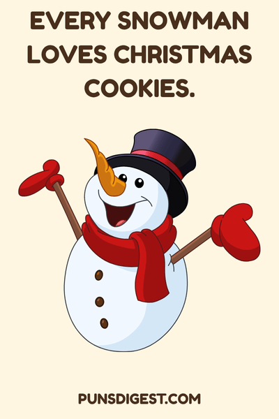 Snowman Puns for christmas