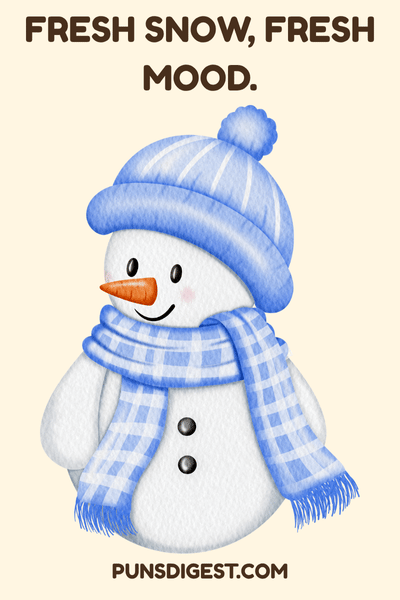 Snowman Puns for instagram