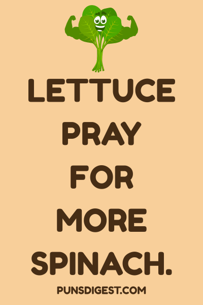 Spinach Puns One Liners